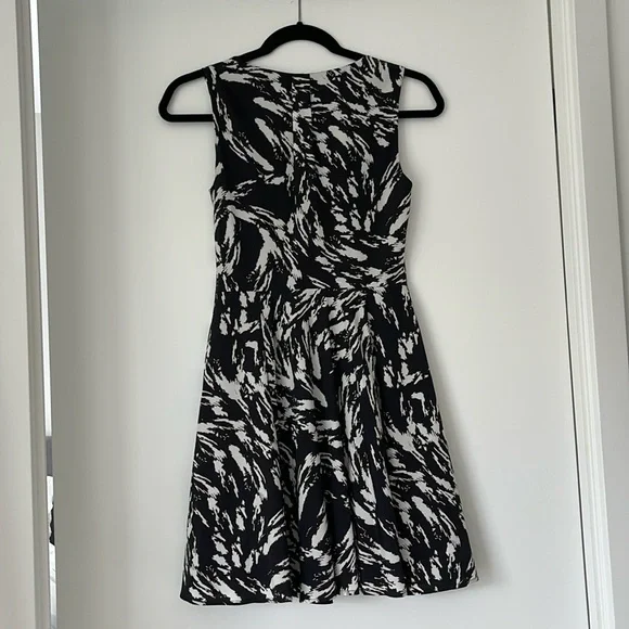 Express Dress - Picture 4 of 5